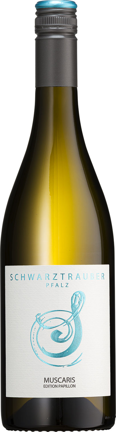 Muscaris 2025er Qualitätswein Pfalz                                                                   